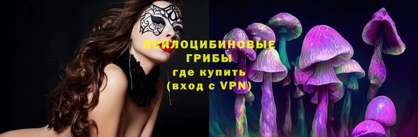 jwh Няндома
