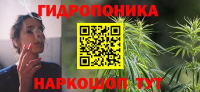 крисы Балахна