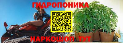 марки lsd Гай