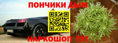 гидра Гагарин
