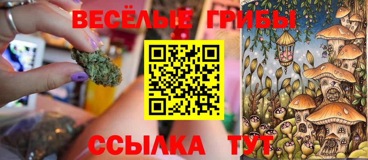 Псилоцибиновые грибы прущие грибы  Вход с VPN  Коломна  наркотики  Галлюциногенные грибы Psilocybe 