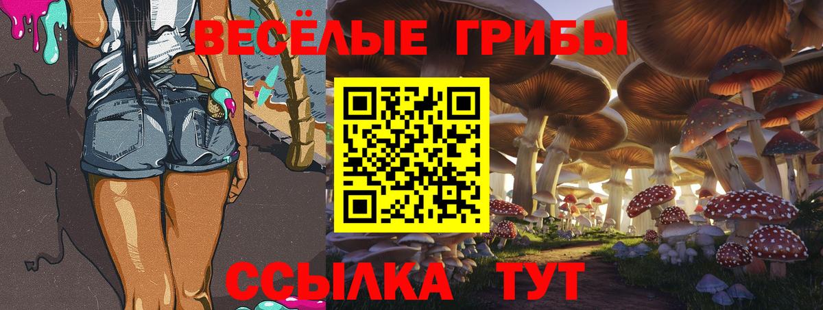 Галлюциногенные грибы GOLDEN TEACHER  Коломна  Псилоцибиновые грибы Magic Shrooms 