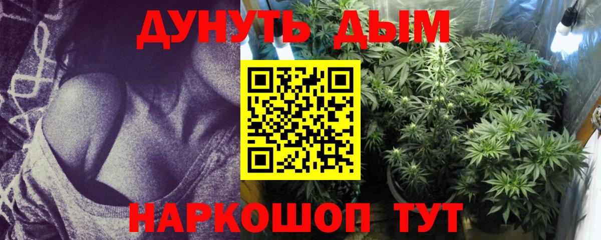 Бошки Шишки White Widow  Коломна  Канабис планчик 